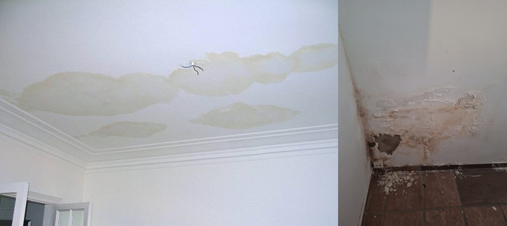 Oberbauer KG – Malereibetrieb aus Wels