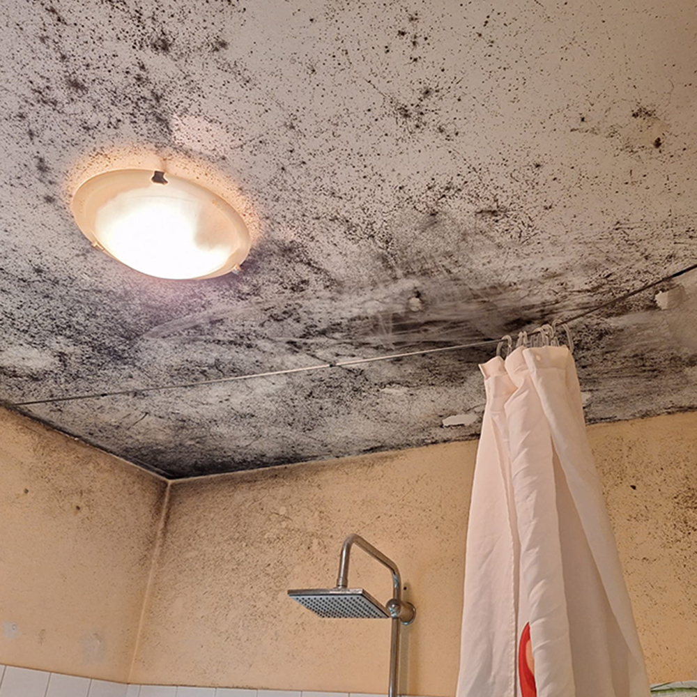 Oberbauer KG – Malereibetrieb aus Wels